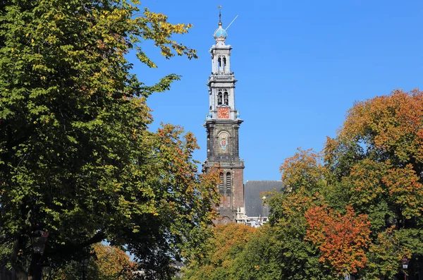 アムステルダム オランダの晴れた青空秋木立西教会の塔 — ストック写真