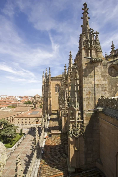 Detalj Den Gamla Katedralen Salamanca Spanien Bild Tagen Taket — Stockfoto