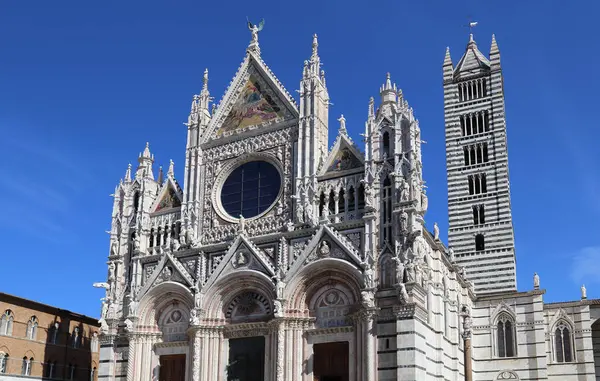Siena Talya Nın Ünlü Katedral Mavi Gökyüzü Karşı — Stok fotoğraf