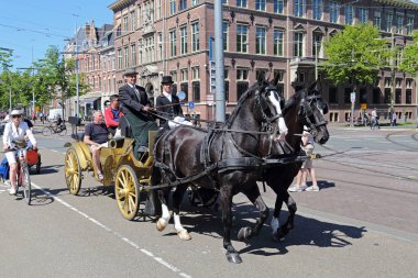 Lahey, Hollanda - 5 Mayıs 2018: Lahey, Hollanda 5 Mayıs 2018 üzerinde bir sokakta atlar tarafından çekilen bir koç turist