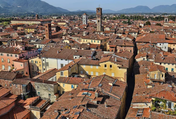 Lucca Talya Cityscape Binalar Torre Delle Cevheri Kulesi Çatılar San — Stok fotoğraf