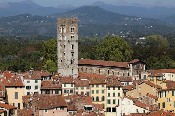 Cityscape Talya Lucca Binaların Çatıları Ile Kilise Kule Basilica San — Stok fotoğraf