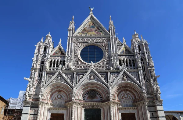 Siena Talya Nın Ünlü Katedral Mavi Gökyüzü Karşı — Stok fotoğraf