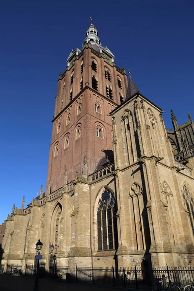 Toren Van Beroemde Sint Jan Kathedraal Den Bosch Nederland — Stockfoto