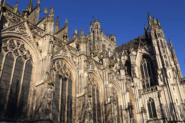 Híres Sint Jan Vagy Szent János Katedrális Den Bosch Hollandia — Stock Fotó