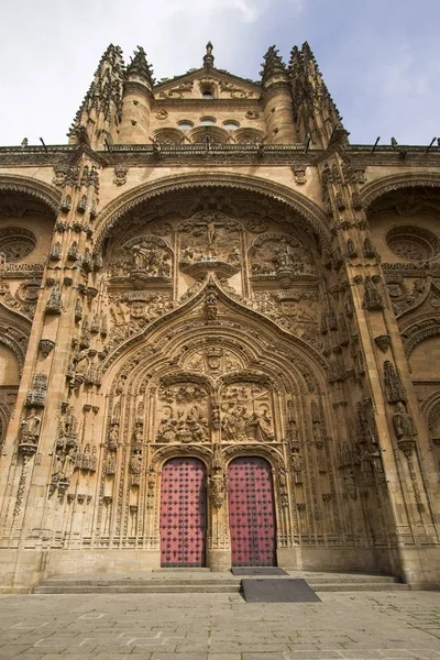 Fachada Portas Catedral Velha Salamanca Espanha — Fotografia de Stock