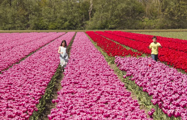 Kinderen in een flowerfield — Stockfoto