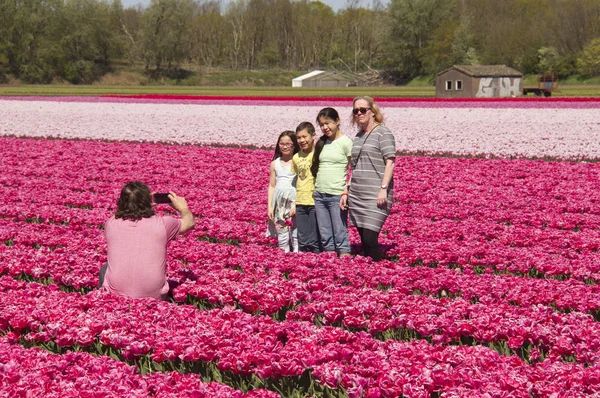 Toeristen in een veld van de bloem in Holland — Stockfoto