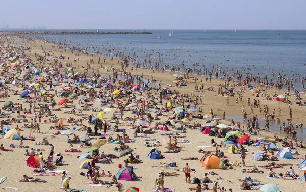 Zomderdag in Scheveningen — Stock fotografie