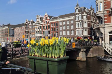 Aysterrdam 'da Tulips