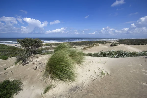 Costa del Mar del Norte —  Fotos de Stock