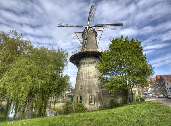 Stor Stenkvarn Schiedam Holland — Stockfoto