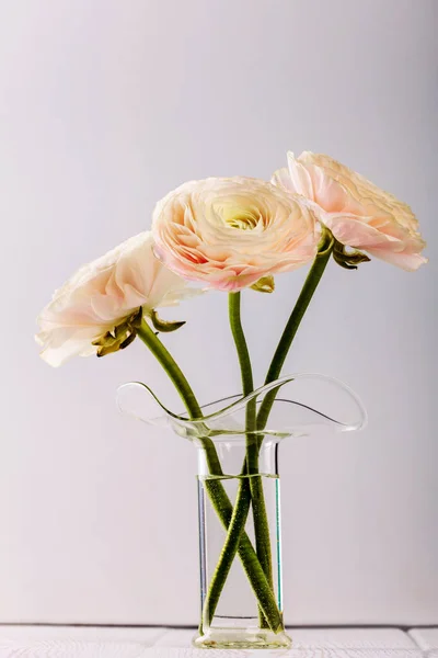 Fleurs Ranunculus Roses Dans Vase Verre — Photo