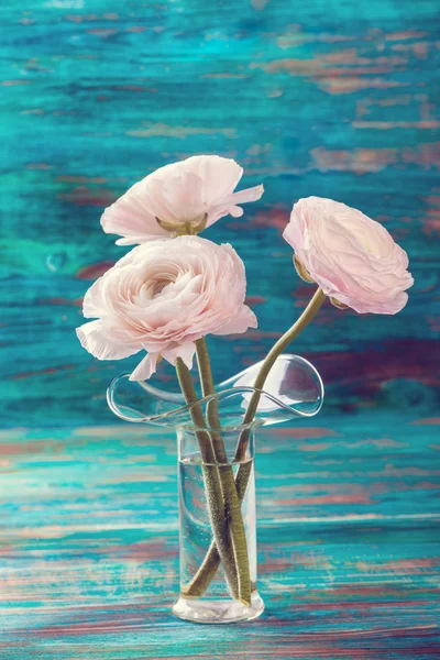 Ranunculus Ροζ Άνθη Γυάλινο Βάζο Ξύλινο Τραπέζι — Φωτογραφία Αρχείου