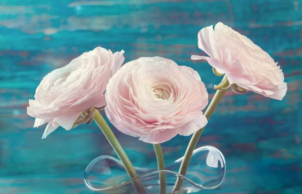 Roze Ranunculus Bloemen Glasvaas Houten Tafel — Stockfoto