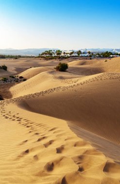 Kum tepeleri Maspalomas, Gran Canaria, Kanarya Adaları, İspanya