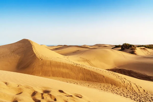 Sanddynerna Maspalomas Gran Canaria Kanarieöarna Spanien — Stockfoto
