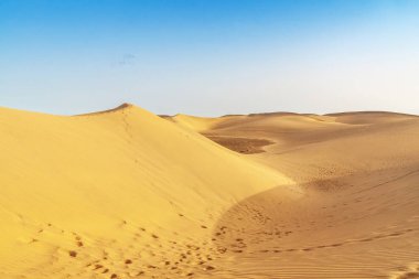 Kum tepeleri Maspalomas, Gran Canaria, Kanarya Adaları, İspanya