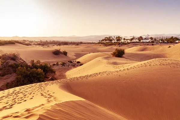 Homokdűnék Maspalomas Gran Canaria Kanári Szigetek Spanyolország — Stock Fotó