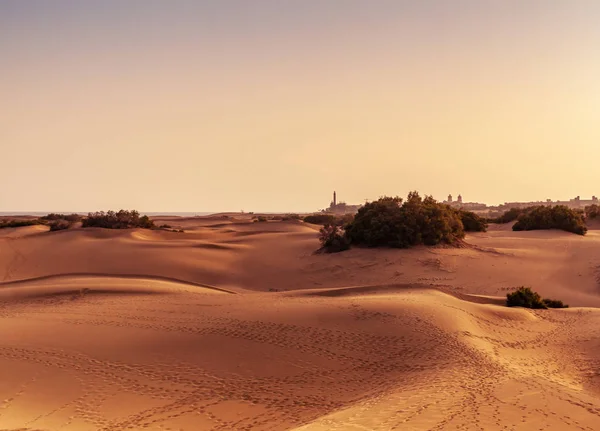 Sand Dunes Maspalomas Gran Canaria Canary Islands Spain — Stock Photo, Image