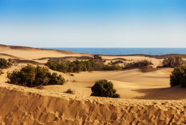 Kum tepeleri Maspalomas, Gran Canaria, Kanarya Adaları, İspanya