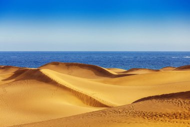 Kum tepeleri Maspalomas, Gran Canaria, Kanarya Adaları, İspanya