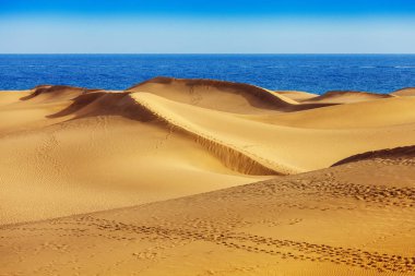 Kum tepeleri Maspalomas, Gran Canaria, Kanarya Adaları, İspanya