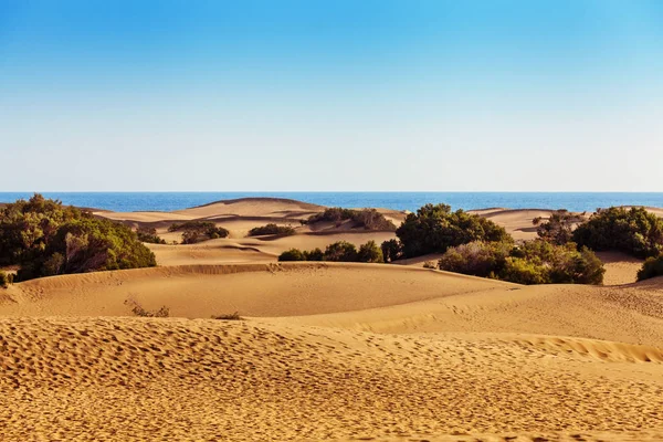 Sanddünen Von Maspalomas Gran Canaria Kanarische Inseln Spanien — Stockfoto