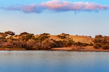 Kum tepeleri Maspalomas, Gran Canaria, Kanarya Adaları, İspanya