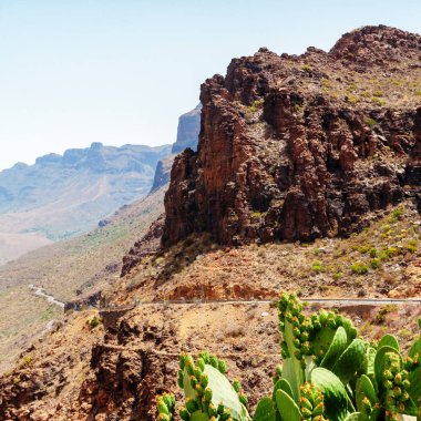 Panoramik Barranco de Fataga, Gran Canaria, Kanarya Adaları, İspanya.