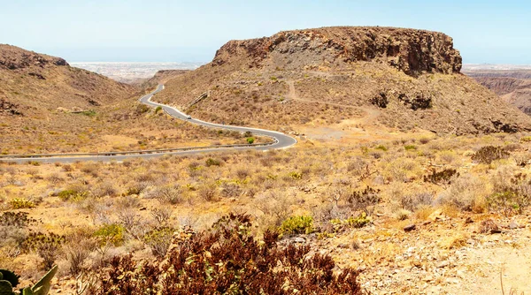 Panorámás Kilátás Nyílik Barranco Fataga Gran Canaria Kanári Szigetek Spanyolország — Stock Fotó