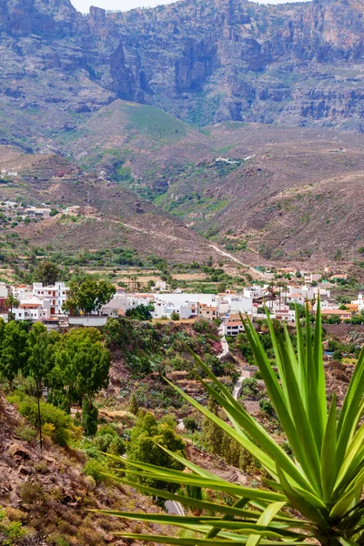 Panorámás Kilátás Nyílik Barranco Fataga Gran Canaria Kanári Szigetek Spanyolország — Stock Fotó