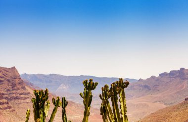 Panoramik Barranco de Fataga, Gran Canaria, Kanarya Adaları, İspanya.