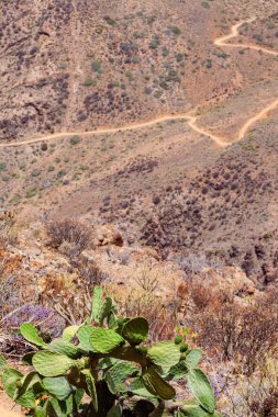 Panoramik Barranco de Fataga, Gran Canaria, Kanarya Adaları, İspanya.