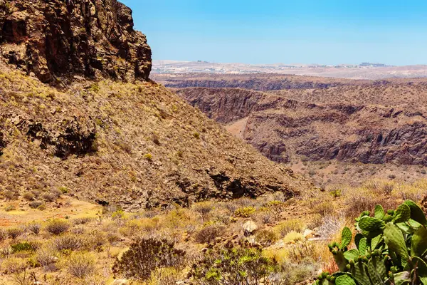 Panorámás Kilátás Nyílik Barranco Fataga Gran Canaria Kanári Szigetek Spanyolország — Stock Fotó