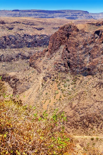 Panorámás Kilátás Nyílik Barranco Fataga Gran Canaria Kanári Szigetek Spanyolország — Stock Fotó