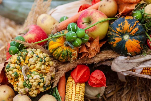 Ghirlanda Fiori Verdure Autunnali — Foto Stock