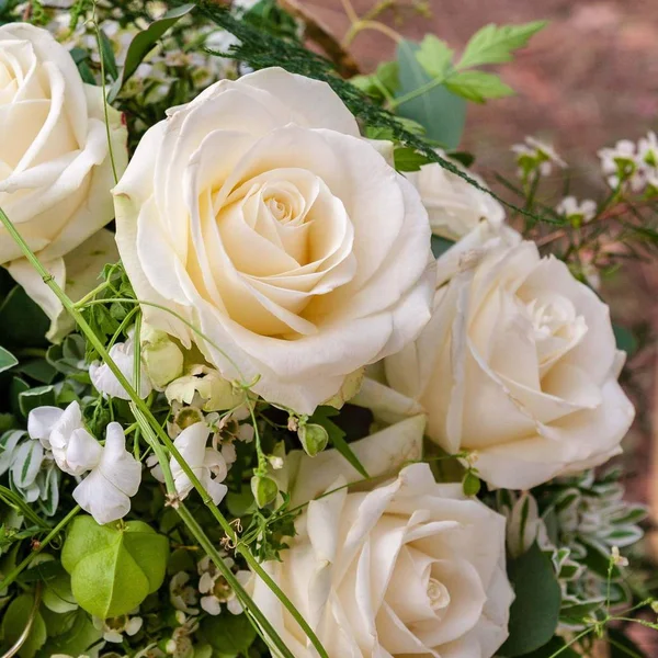 Bouquet Rose Bianche Eleganza — Foto Stock