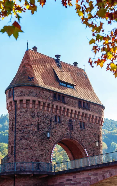 Medieval Bridge Gate Miltenberg Main River Lower Franconia Bavaria Germany — Stock Photo, Image