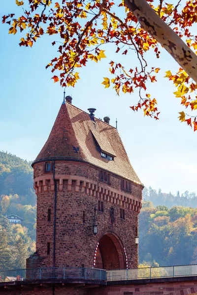 Medieval Bridge Gate Miltenberg Main River Lower Franconia Bavaria Germany — Stock Photo, Image