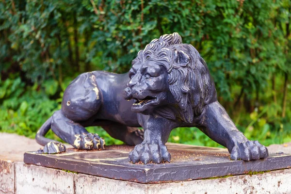 Escultura Leão Antigo Escadas Pavlovsk Rússia — Fotografia de Stock