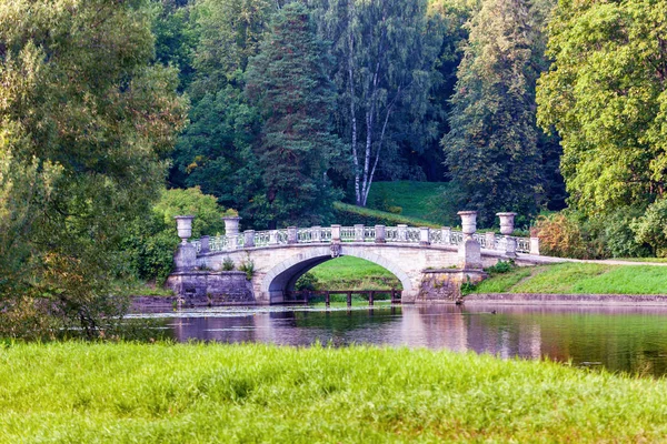 Paisaje Verano Parque Pavlovsk San Petersburgo Rusia — Foto de Stock