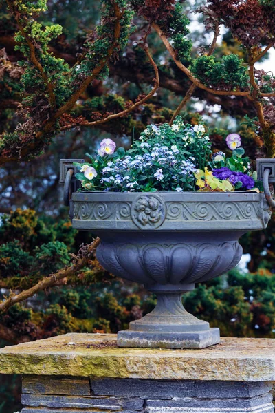 Vaso Decorativo Com Flores Parque — Fotografia de Stock