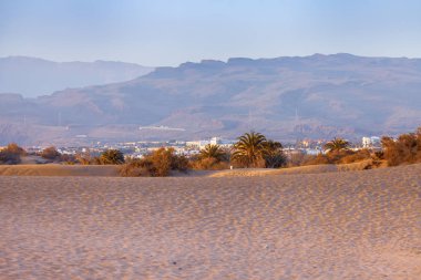 Maspalomların kum tepeleri