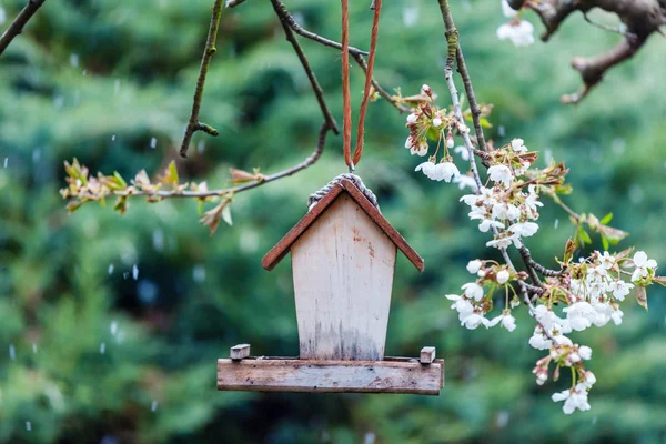 Pajarera en el árbol — Foto de Stock