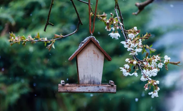 Pajarera en el árbol — Foto de Stock