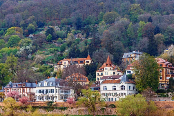 Arquitectura romántica del casco antiguo Heidelberg — Foto de Stock