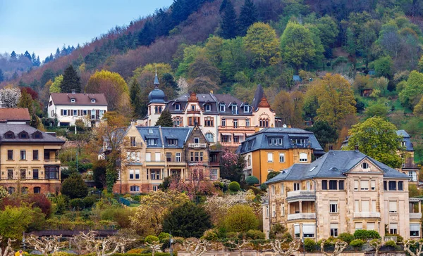 Romantische architektur der altstadt heidelberg — Stockfoto