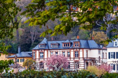 Eski şehir Heidelberg romantik mimarisi