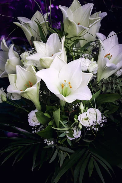 Lilies fresh white — Stock Photo, Image